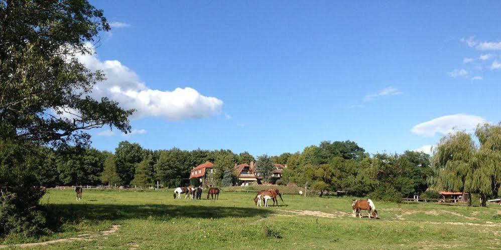 Domaine Du Neufeld Hotel Oberhaslach Ngoại thất bức ảnh